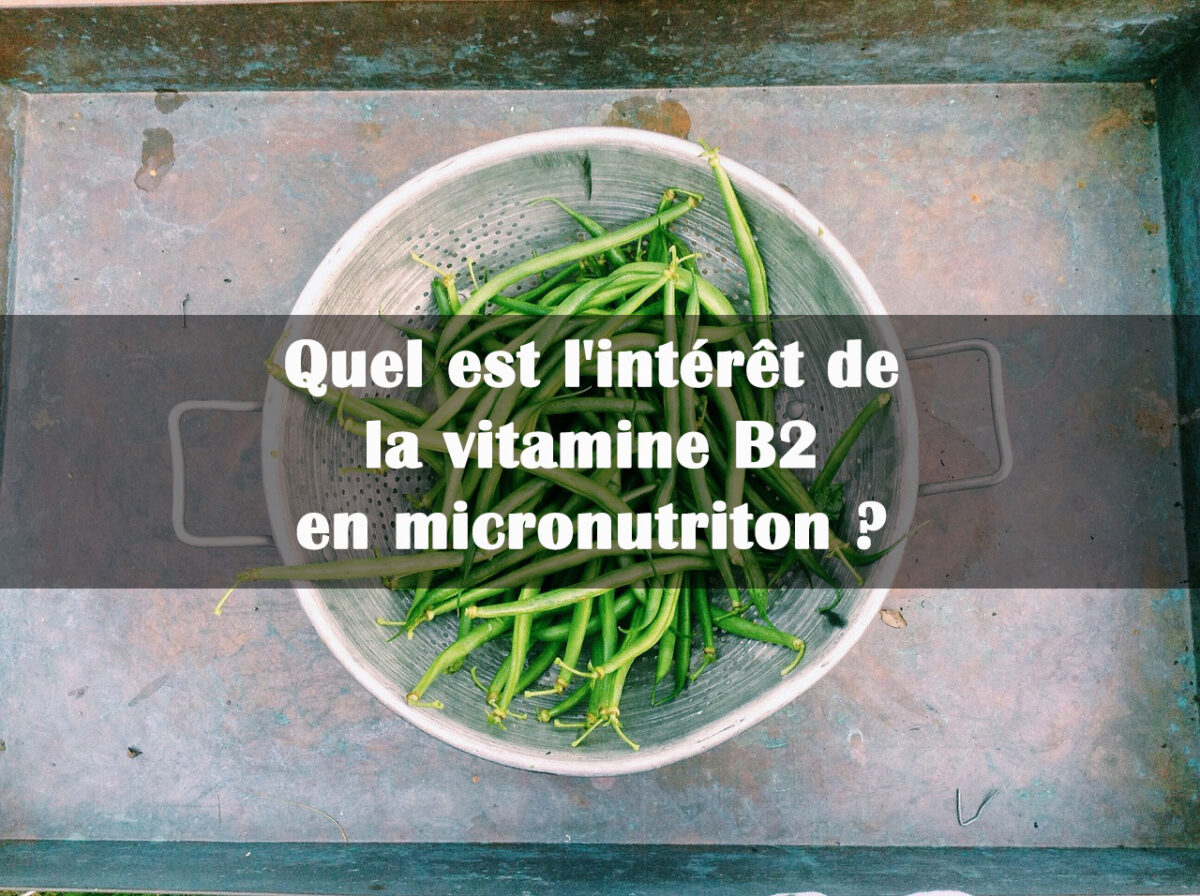 interet vitamine b2 micronutrition